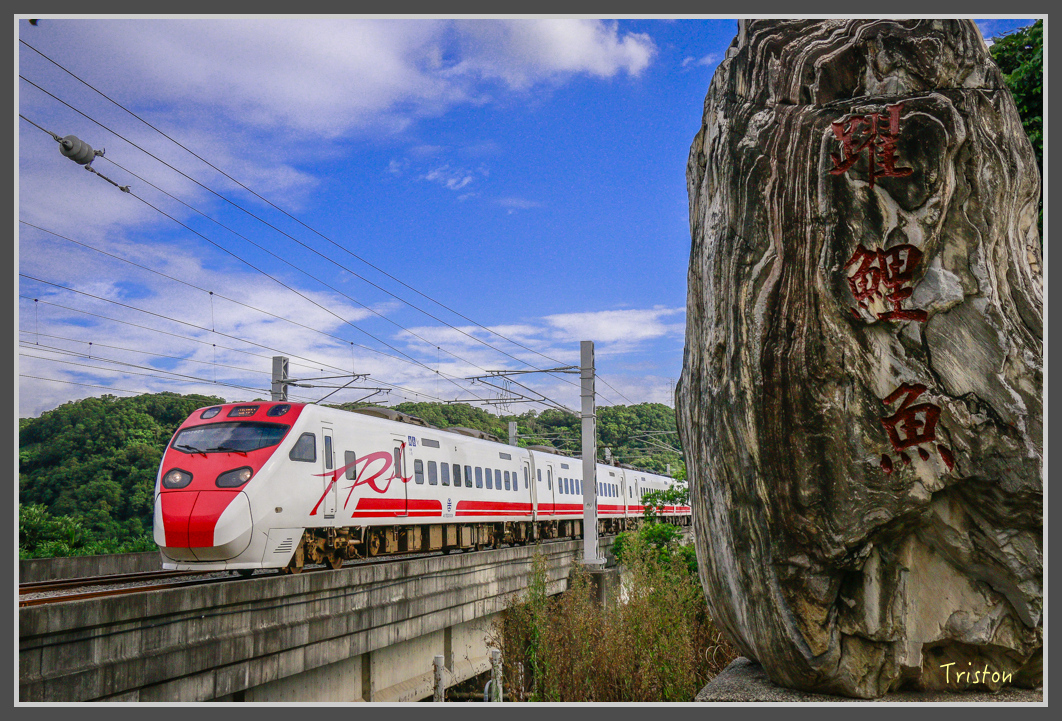 _MG_8935.jpg - 20160712 苗栗薰衣草森林