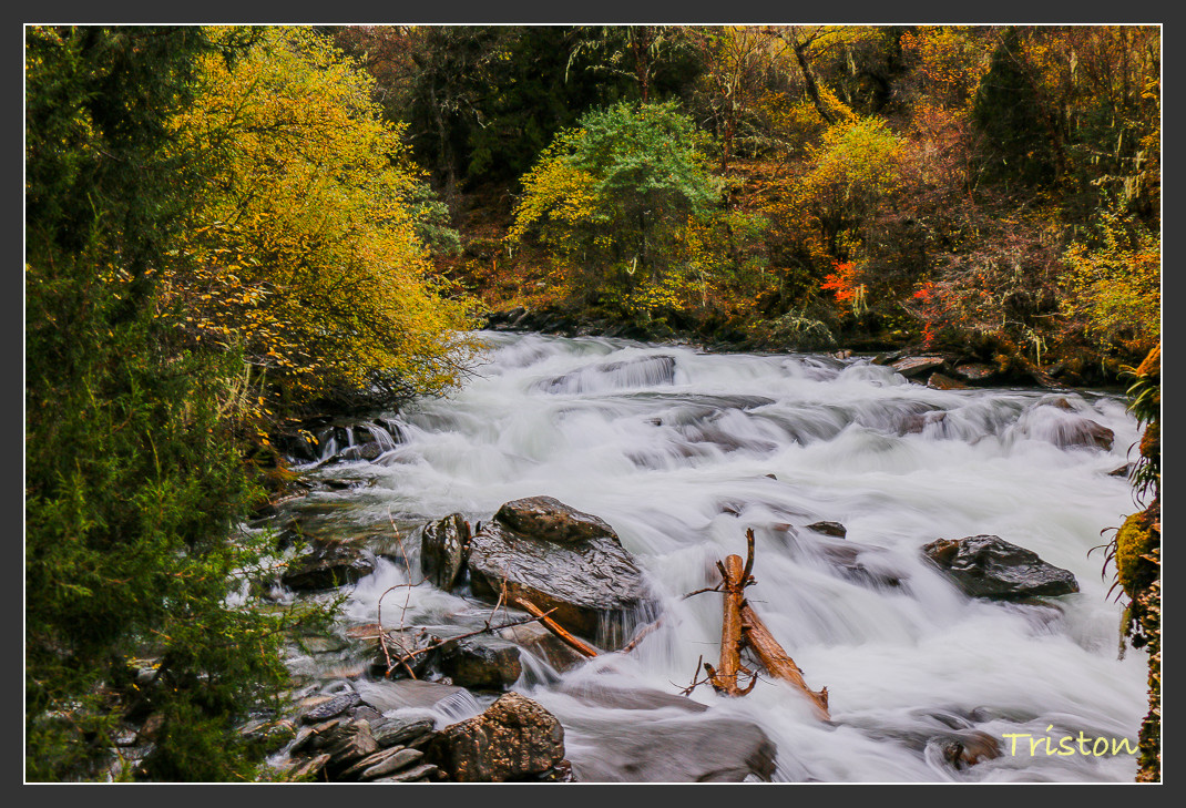_MG_1056.jpg - 20161013 稻城亞丁