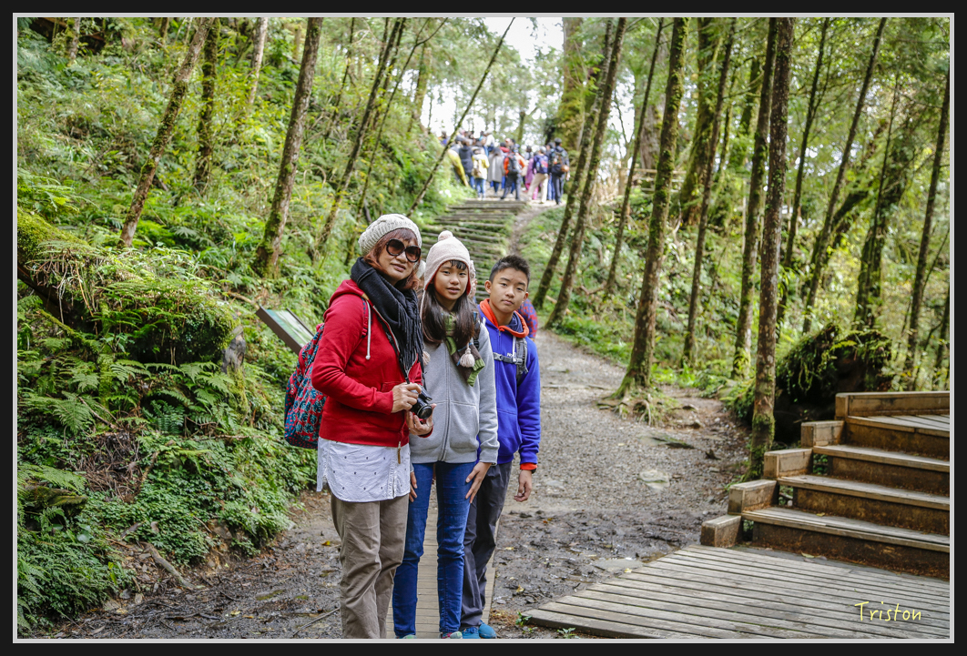 00115.jpg - 20161231 明池 神木園