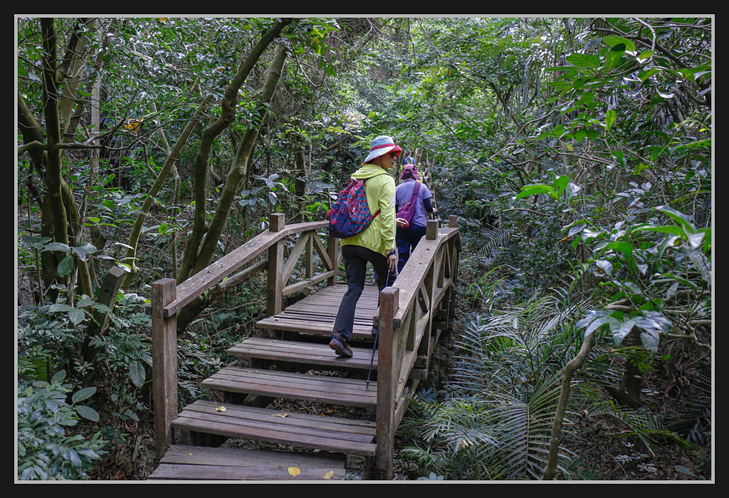 _MG_0076.jpg - 20170205 柴山盤榕雅座路線