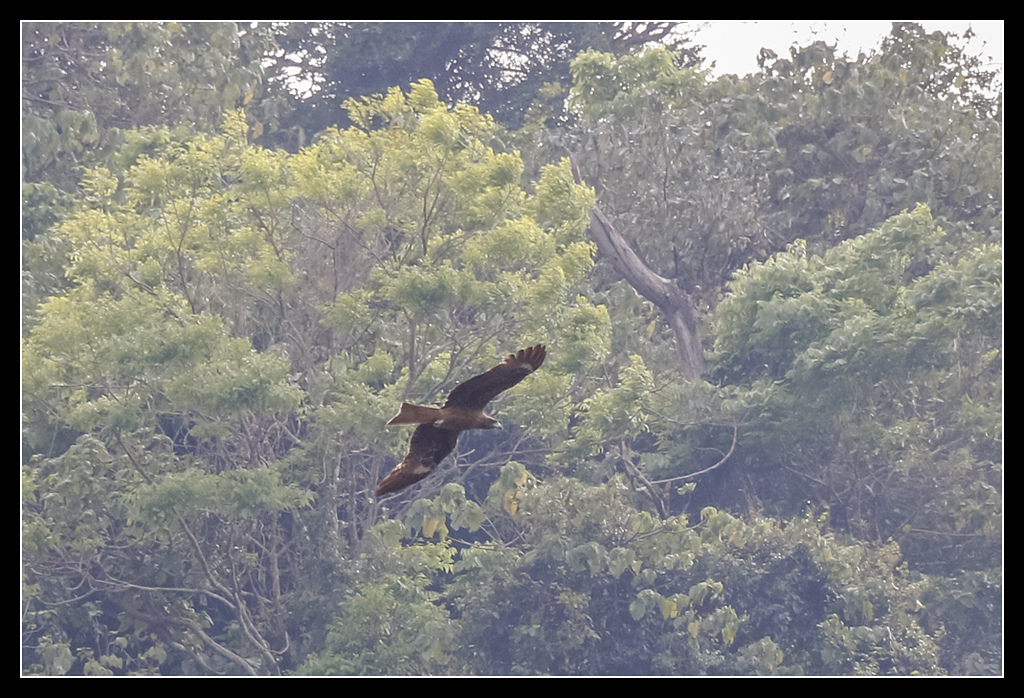 _MG_0126.jpg - 20170404 曾文水庫