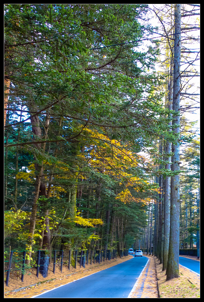 DSC00428.jpg - 20151031 秋天的童話-貴婦東京輕井澤紀行