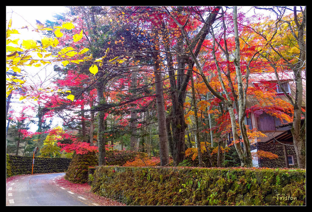 DSC00373.jpg - 20151031 秋天的童話-貴婦東京輕井澤紀行