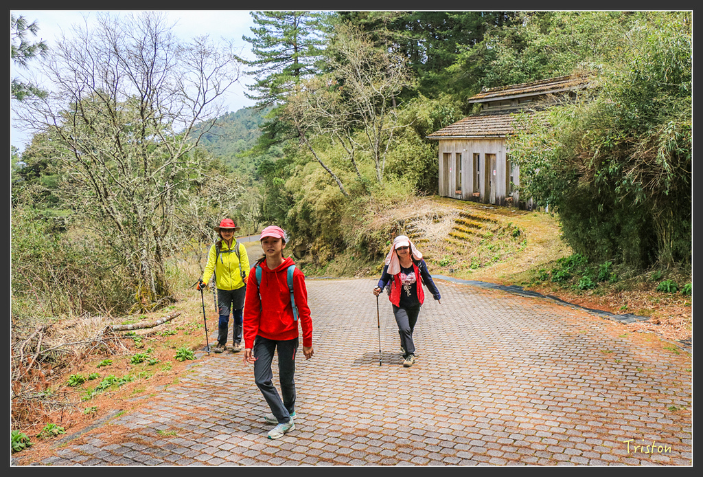 IMG_6097.jpg - 20160402 鹿林麟趾東埔山