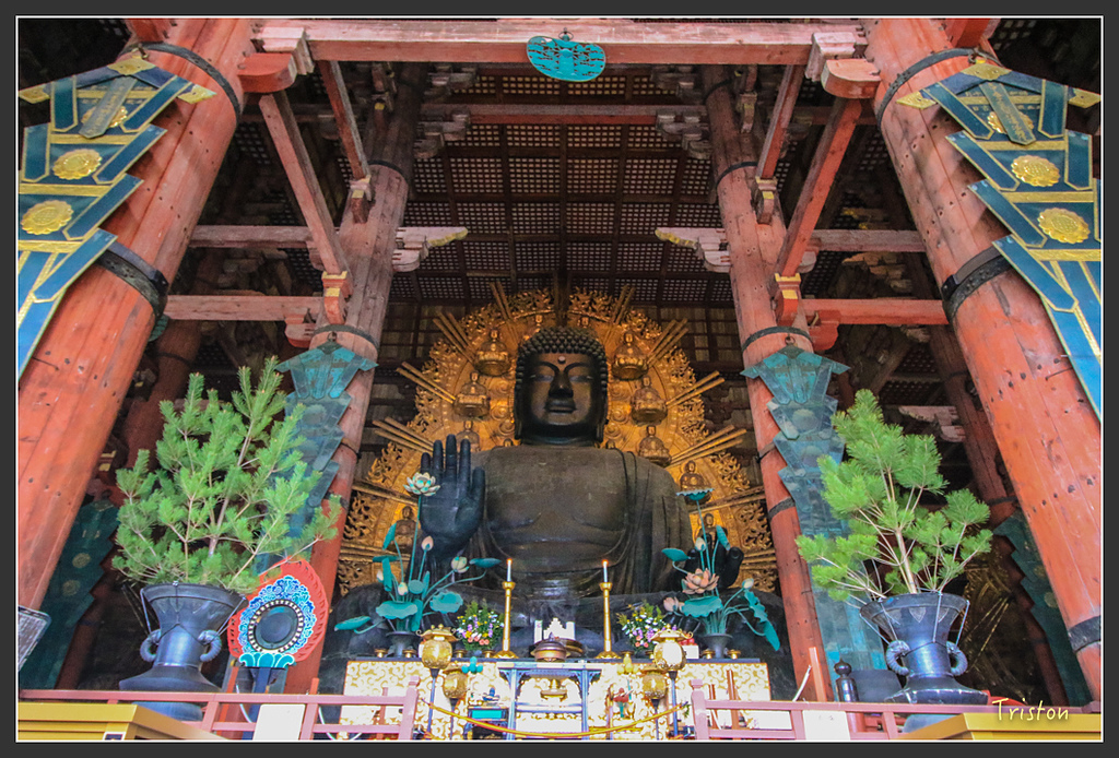 IMG_4358.jpg - 20160323 日本熊野古道健行