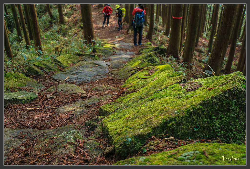 IMG_5585.jpg - 20160323 日本熊野古道健行