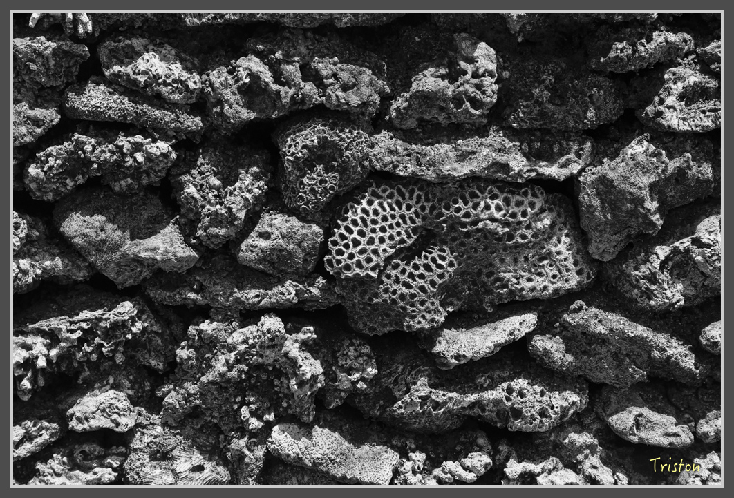 JH1A1425.jpg - 20160701 澎湖