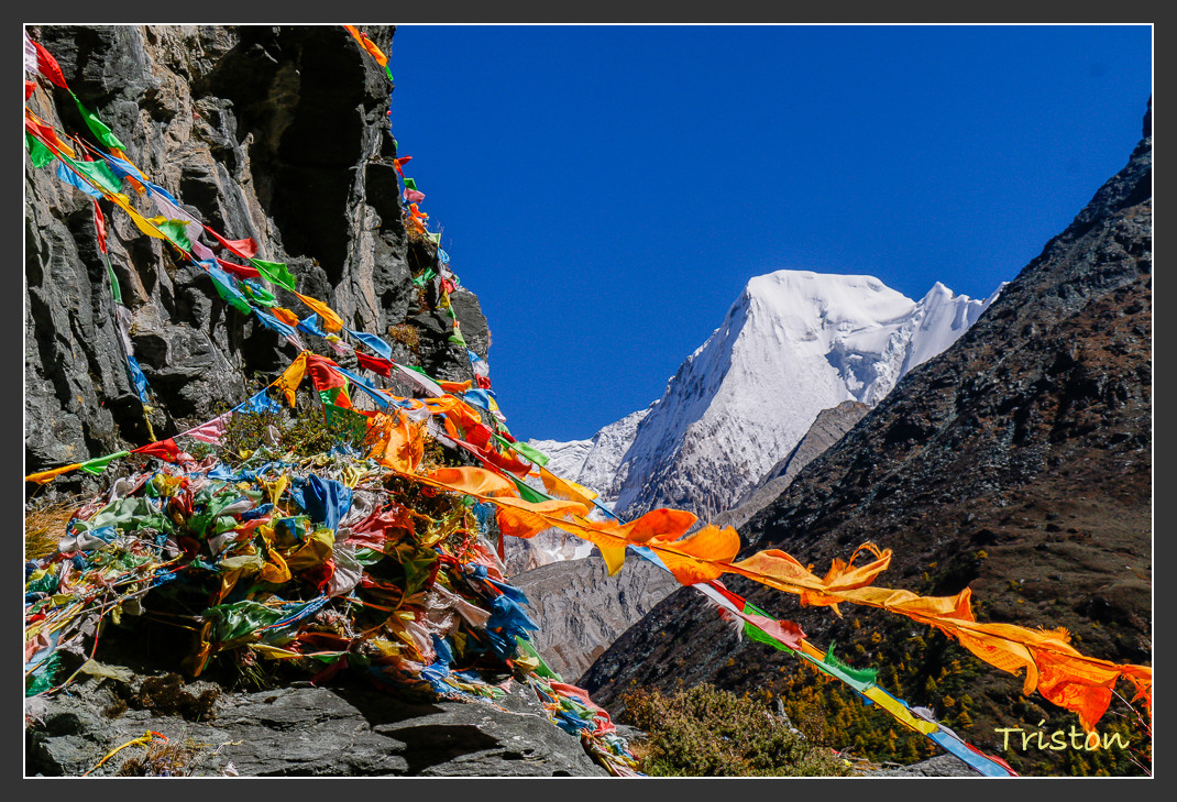 _MG_1768.jpg - 20161013 稻城亞丁