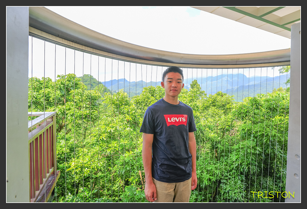 20170812-_H1A5357.jpg - 20170812 大埔、茶山、那瑪夏兜風