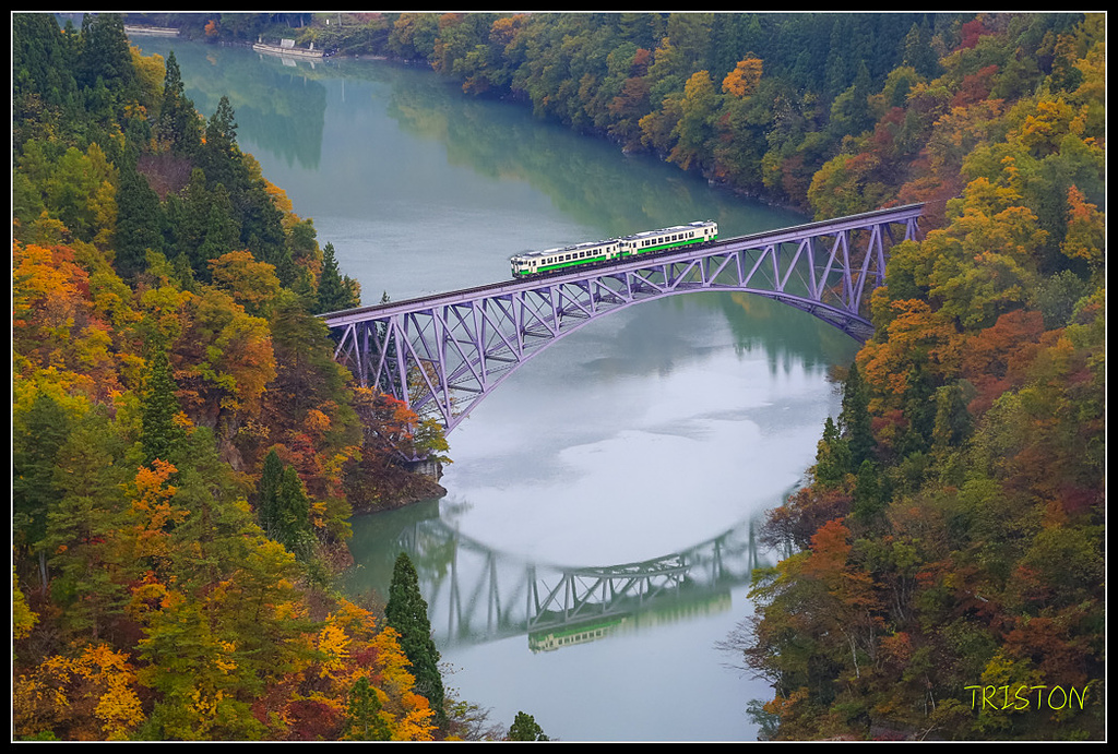 _H1A0463.jpg - 20171103 日本只見線、會津若松五色沼、昭和記念公園賞紅葉