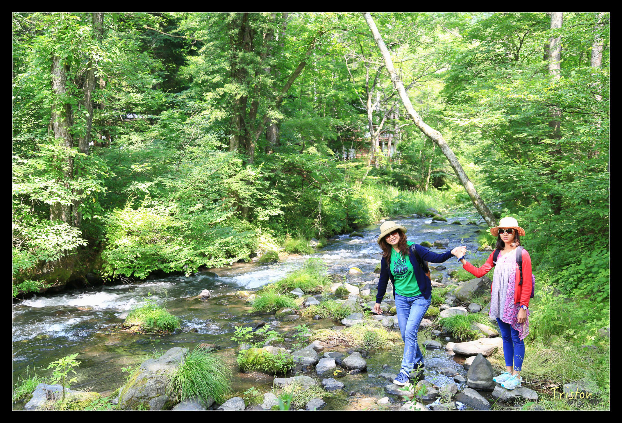 JH1A9104.jpg - 20150628 東京輕井澤日光