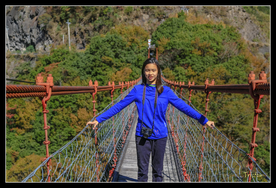 JH1A0584.jpg - 20151205 合歡溪步道、108K楓之谷