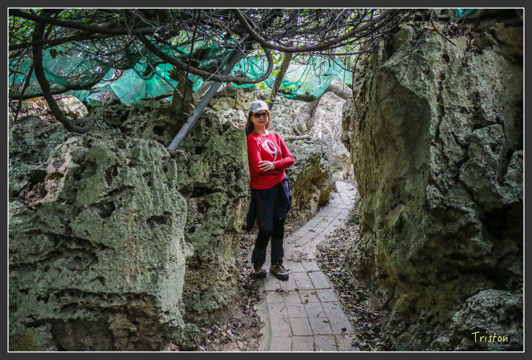 IMG_3224.jpg - 20160220 小崗山健行步道