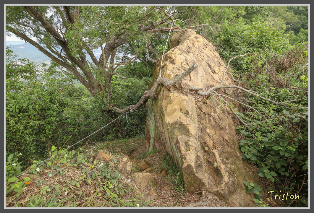 IMG_1948.jpg - 20161130 高雄旗尾山