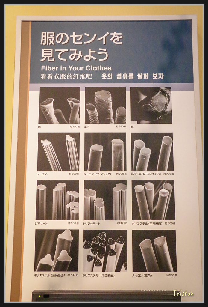 Canon-531.jpg - 20170120 大阪神戶親子遊 