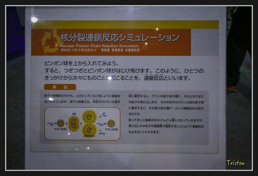 Canon-564.jpg - 20170120 大阪神戶親子遊 