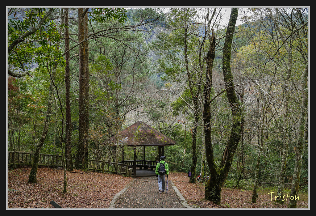 _H1A2309.jpg - 20170212 武界 萬大電廠 奧萬大