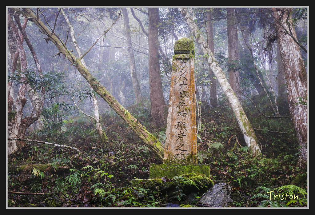 2017-02-27 10.03.53 下午 _MG_0448.jpg - 20170225 玉里瓦拉米