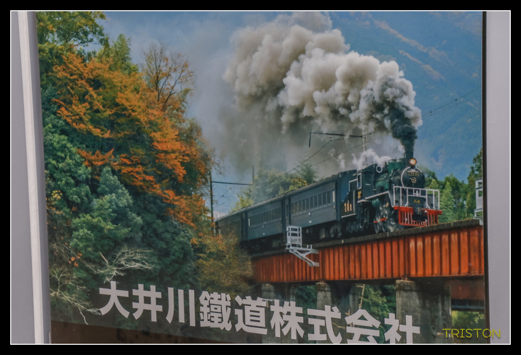 _MG_0333.jpg - 20170702 靜岡東海道之旅