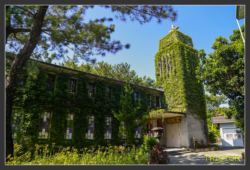 _H1A6244.jpg - 20170901 戀戀台九線