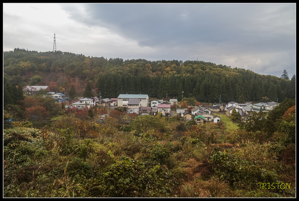 _H1A0254.jpg - 20171103 日本只見線、會津若松五色沼、昭和記念公園賞紅葉