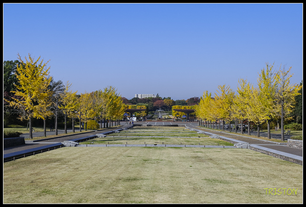 _H1A1545.jpg - 20171103 日本只見線、會津若松五色沼、昭和記念公園賞紅葉