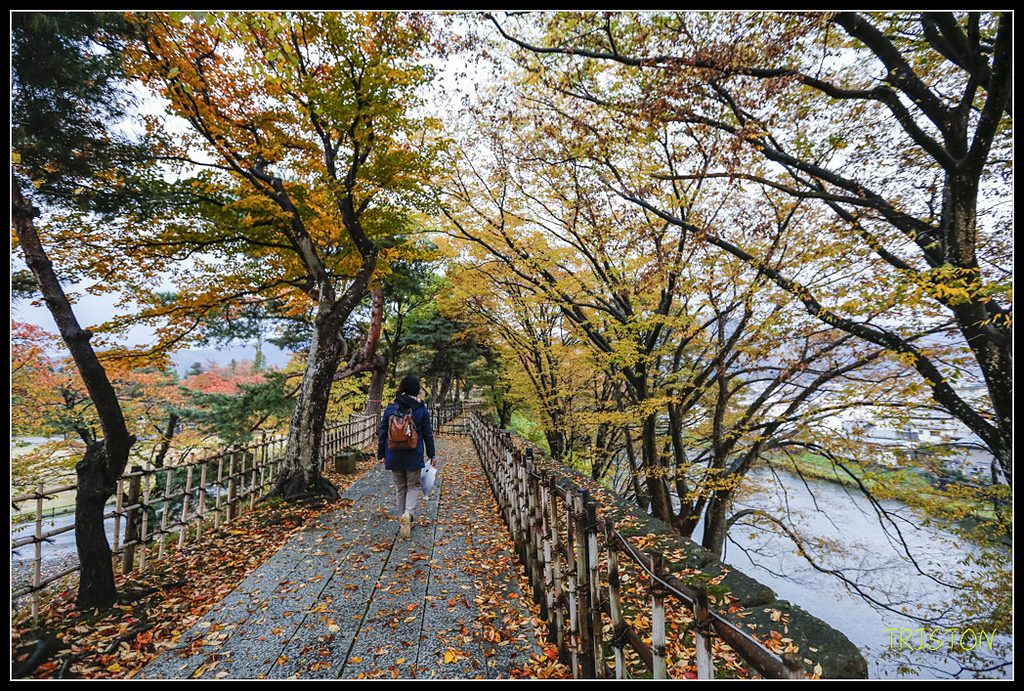 _H1A0941.jpg - 20171103 日本只見線、會津若松五色沼、昭和記念公園賞紅葉