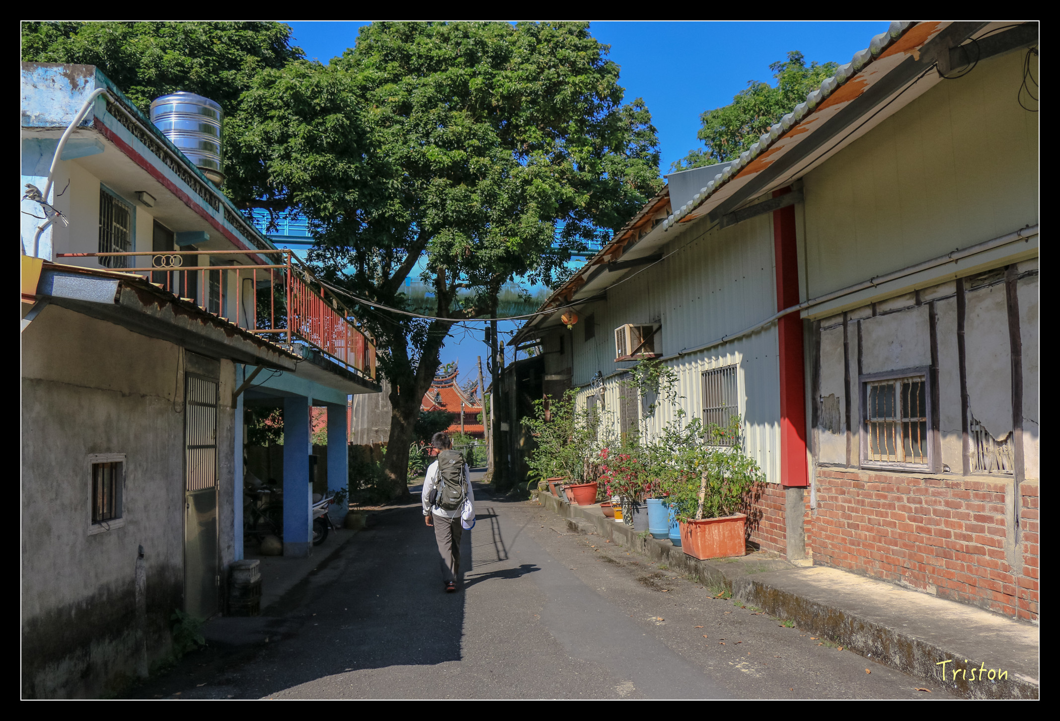 IMG_0395.jpg - 20151214 林內龍過脈步道