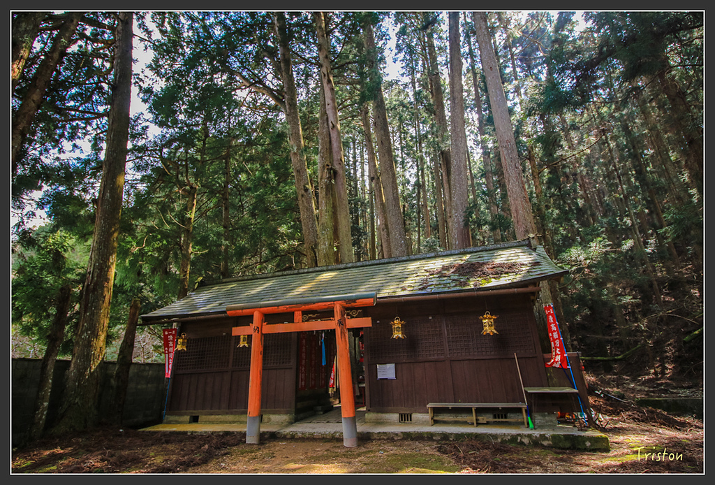 IMG_4486.jpg - 20160323 日本熊野古道健行