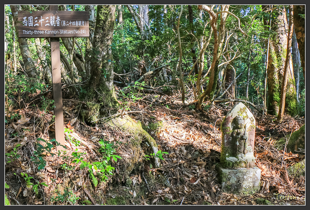 IMG_4691.jpg - 20160323 日本熊野古道健行