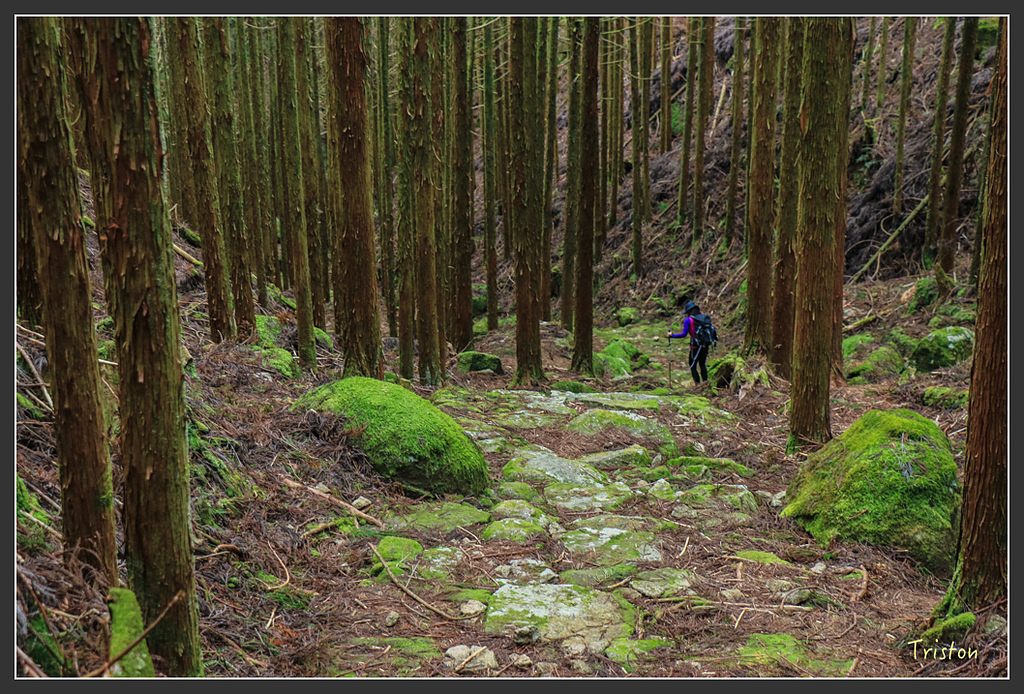IMG_5492.jpg - 20160323 日本熊野古道健行