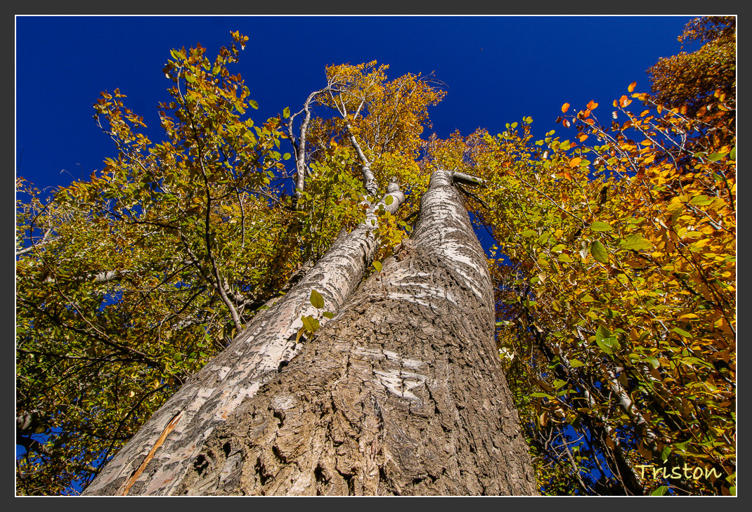 _MG_2393.jpg - 20161013 稻城亞丁