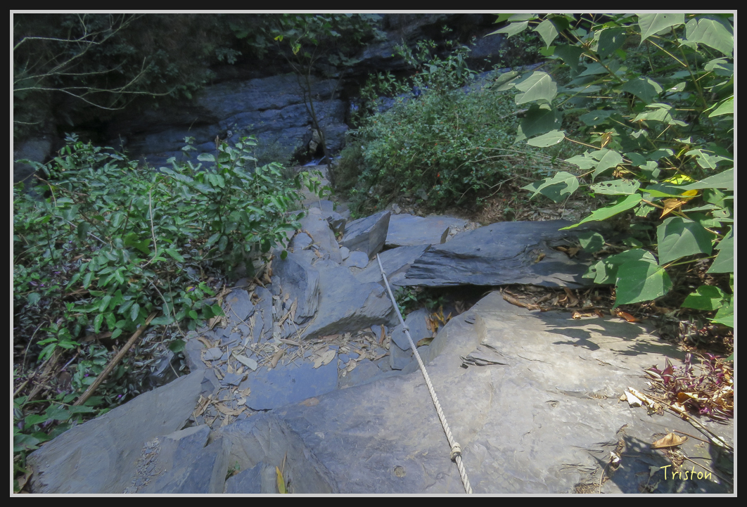 IMG_0722.jpg - 20170111 龍頭山步道、羅木斯步道、茂林谷瀑布