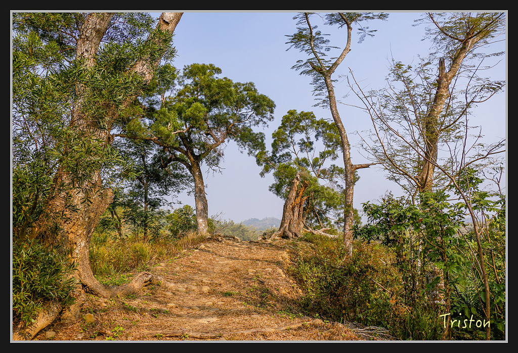 _MG_0027.jpg - 20170312 旗山老街