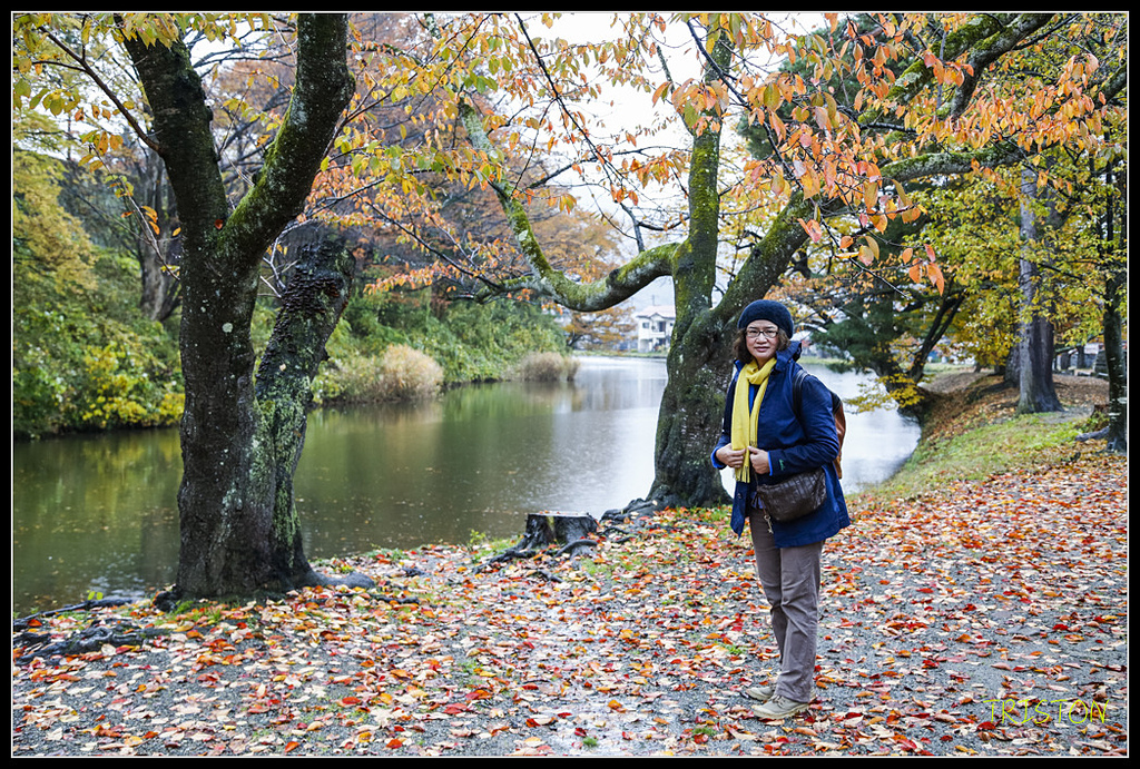 _H1A0871.jpg - 20171103 日本只見線、會津若松五色沼、昭和記念公園賞紅葉