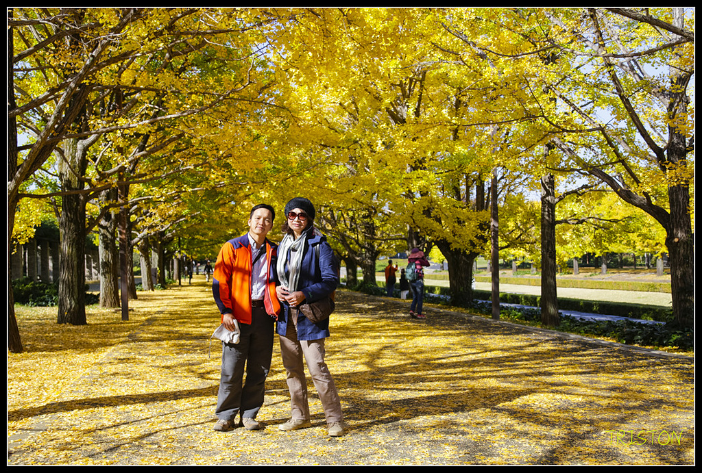 _H1A1559.jpg - 20171103 日本只見線、會津若松五色沼、昭和記念公園賞紅葉