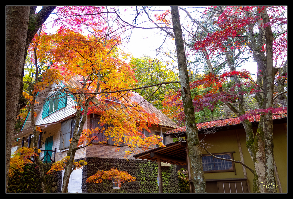 DSC00374.jpg - 20151031 秋天的童話-貴婦東京輕井澤紀行