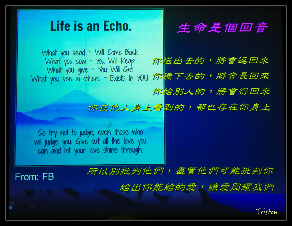 DSC00538.jpg - 20151120 美人建築課程-維特魯威人