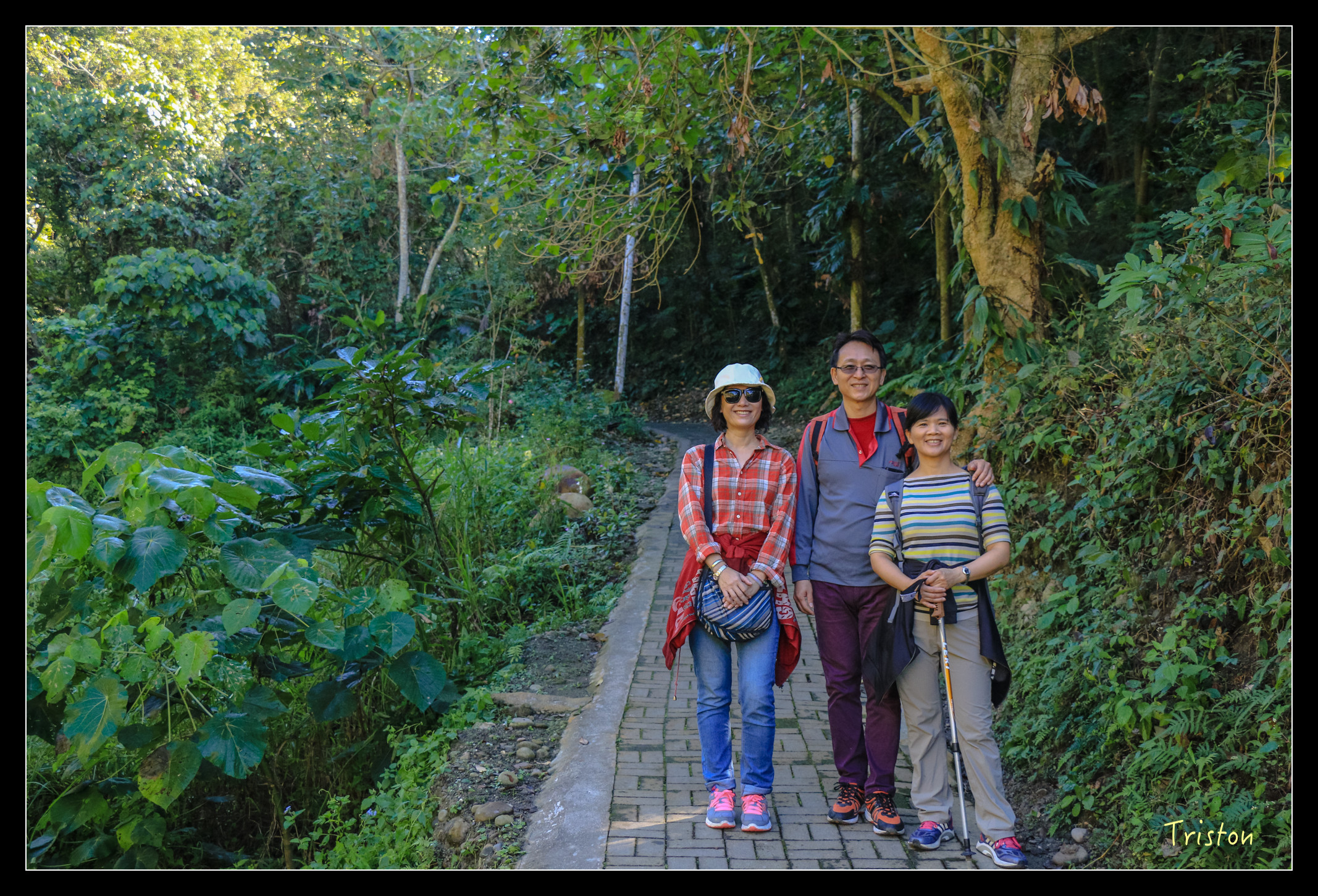 IMG_0341.jpg - 20151214 林內龍過脈步道