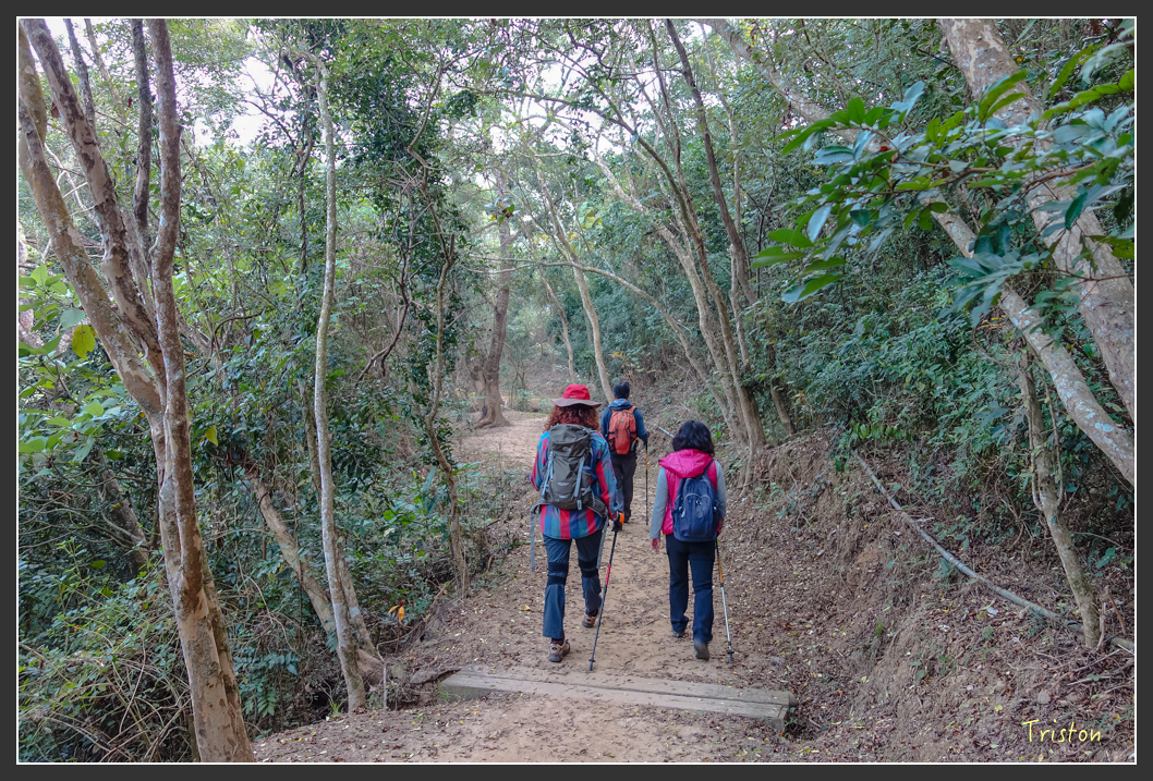 DSC00616.jpg - 20151229 鈺鼎步道