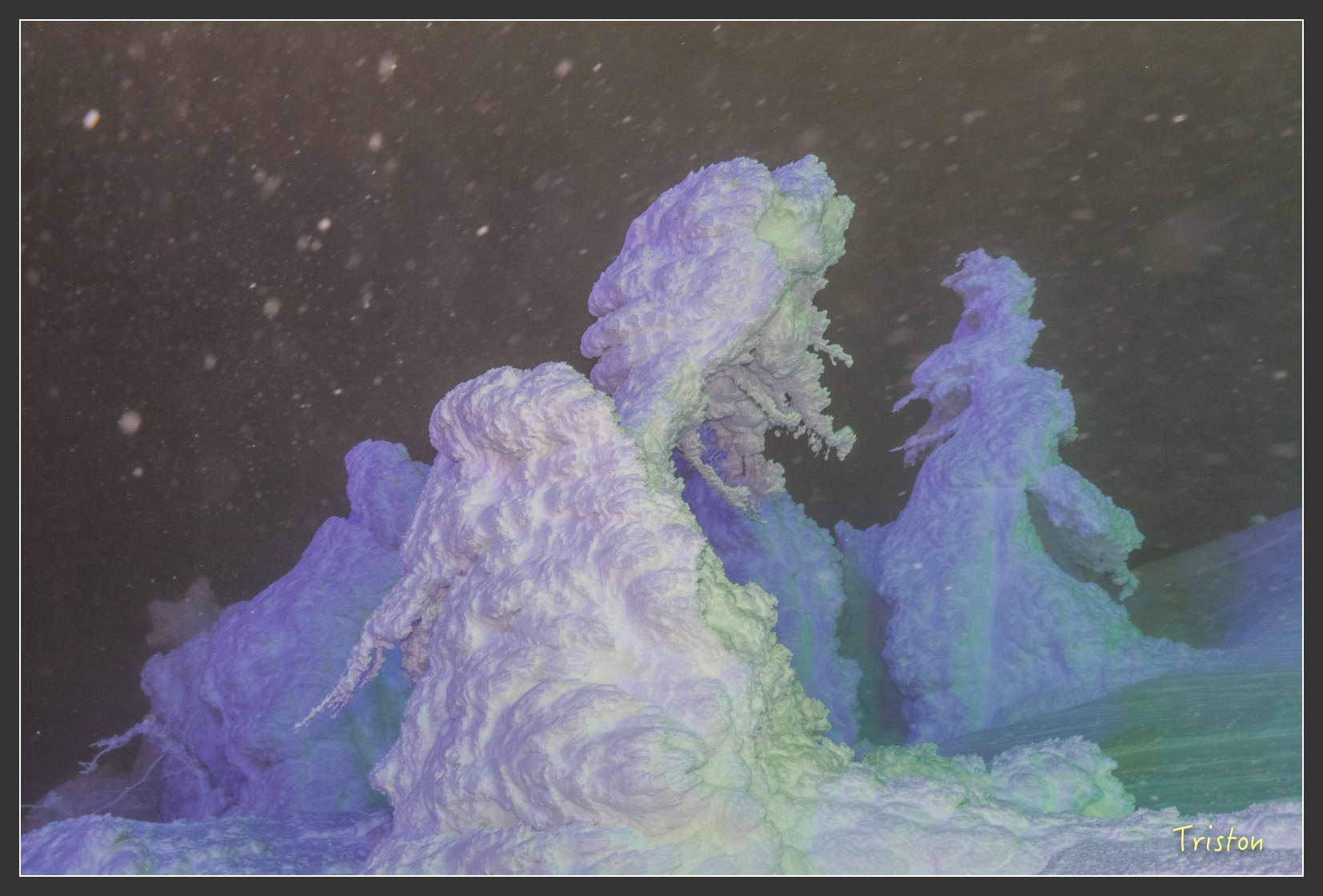 2016ZAO-00968.jpg - 20160131 日本藏王溫泉滑雪親子行