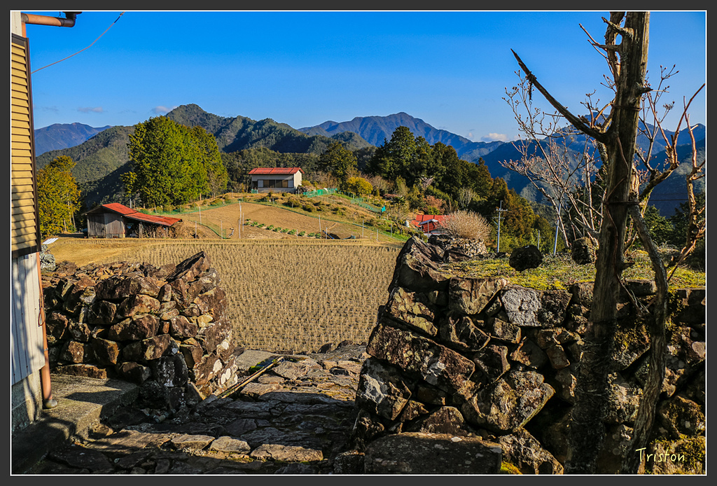 IMG_4649.jpg - 20160323 日本熊野古道健行