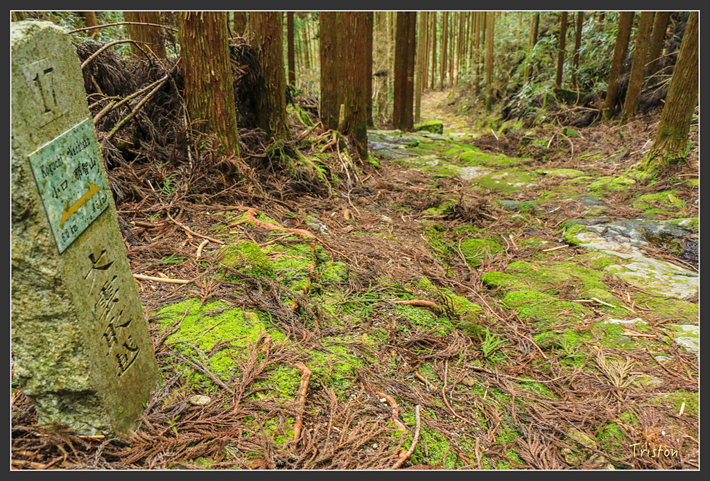 IMG_5504.jpg - 20160323 日本熊野古道健行