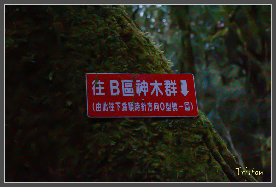 _MG_0135.jpg - 20161203 鎮西堡