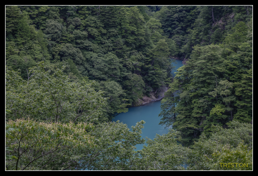 _MG_0874.jpg - 20170702 靜岡東海道之旅