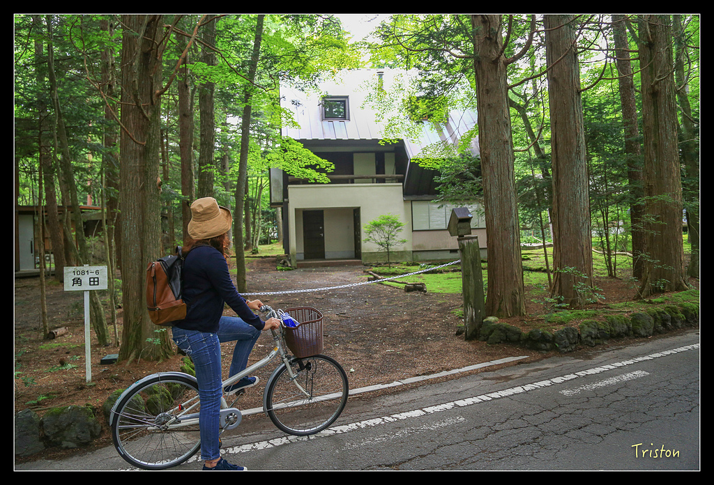 JH1A9333.jpg - 20150628 東京輕井澤日光