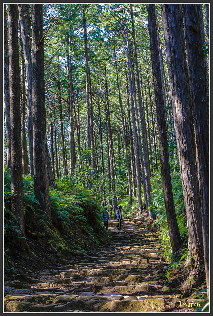 IMG_4854.jpg - 20160323 日本熊野古道健行