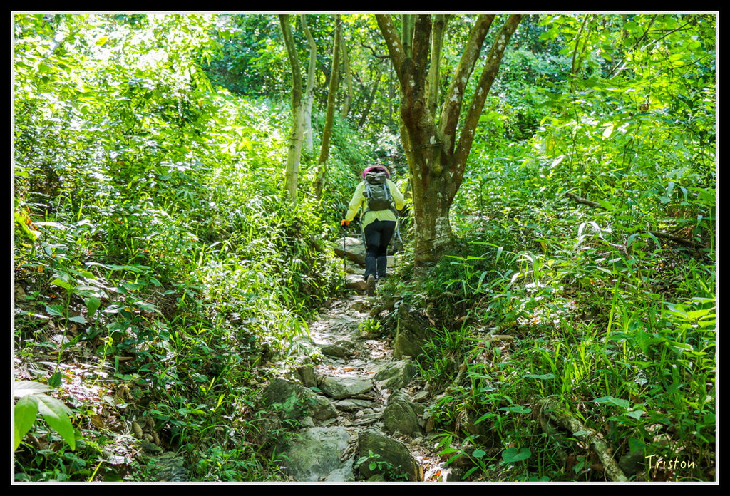 IMG_7253.jpg - 20160531 屏東笠頂山