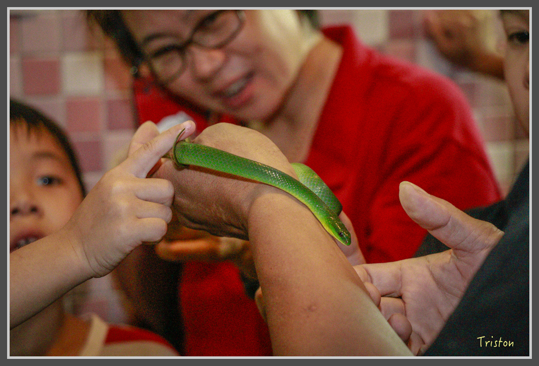 _MG_9255.jpg - 20160717 峰老師夜觀