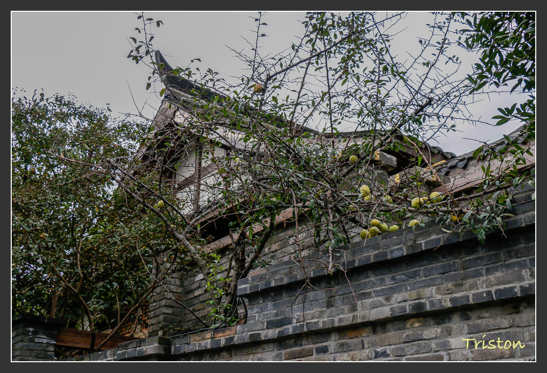 _MG_2835.jpg - 20161013 稻城亞丁